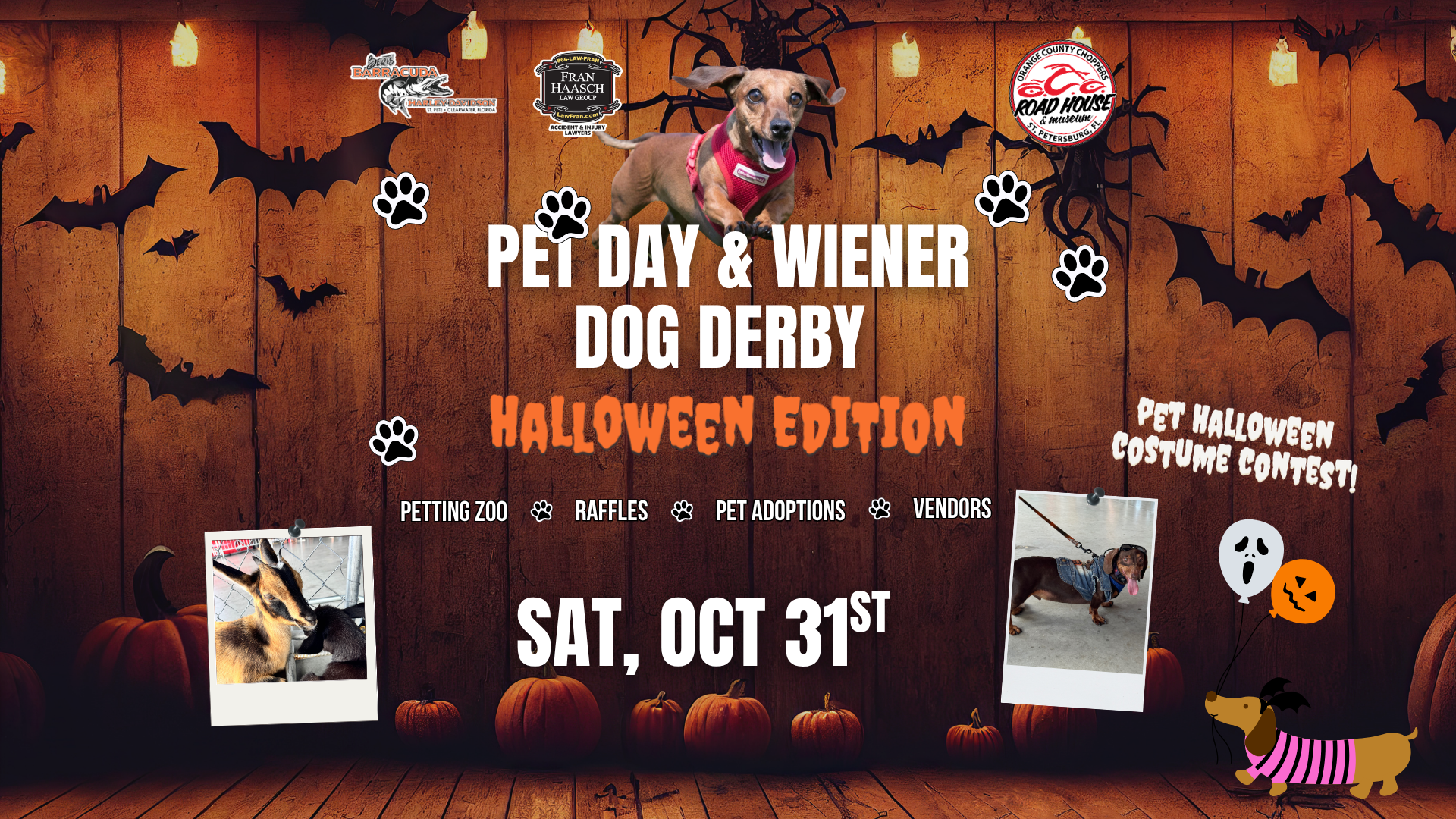 Event flyer with bats and pumpkins for “Pet Day & Wiener Dog Derby Halloween Edition” on Saturday, Oct 31st, featuring petting zoo, raffles, adoptions, vendors, and a pet costume contest.